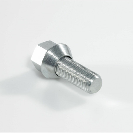 Tornillo asiento excéntrico