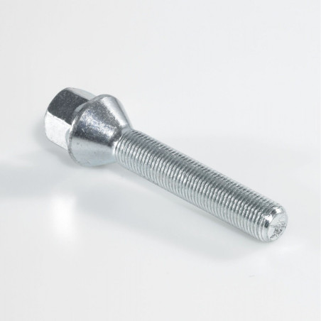 Tornillo largo 45mm asiento excéntrico