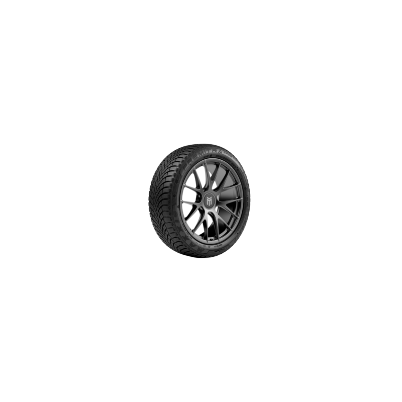 Maxxis Premitra Snow WP6