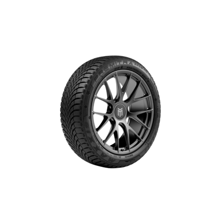 Maxxis Premitra Snow WP6