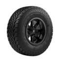 Maxxis Wormdrive AT-980E