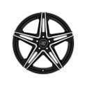 MSW 31