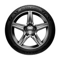 Nexen N'Fera Primus